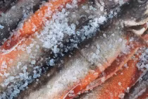 3 loại cá ít dinh dưỡng nhưng lại nhiều độc tố