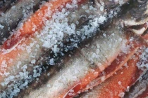 3 loại cá ít dinh dưỡng nhưng lại nhiều độc tố