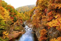 Những hình ảnh đẹp chưa từng thấy ở Nhật Bản