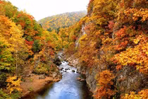 Những hình ảnh đẹp chưa từng thấy ở Nhật Bản