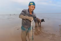 "Cao thủ" Tiền Giang săn cá chình mỡ, mỗi chuyến kiếm 3 triệu đồng