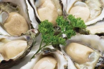 Chọn mua hàu sống tươi ngon cứ nhắm vào điểm này mới là chuẩn nhất