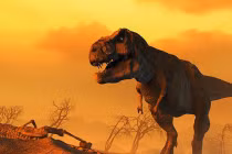 Điều gì đã khiến loài khủng long tuyệt chủng?