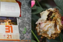 5 đồ vật cản trở tài lộc, rước thêm tai họa