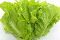 Video: Mẹo bảo quản xà lách, bắp cải lâu ngày vẫn như mới hái