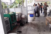 Bát mỳ chay có thịt người tố cáo tội ác kinh hoàng của chủ quán