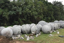 Video: Số phận 40 quả "bóng xích" ở sân Mỹ Đình sau khi Việt Nam vô địch