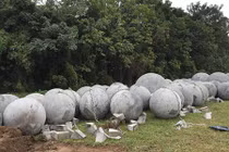 Video: Số phận 40 quả "bóng xích" ở sân Mỹ Đình sau khi Việt Nam vô địch