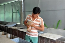 Làm giàu từ con "ăn đêm, ngủ ngày"