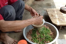 Hiếm lạ món “cá gỏi” - đặc sản "cực chất" của người Thái ở Tây Bắc