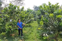 Chàng trai 9X biến mảnh đất hoang thành trang trại trăm triệu