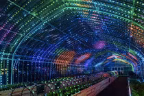 Vườn rau kỹ thuật số có một không hai tại Nhật Bản