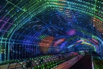 Vườn rau kỹ thuật số có một không hai tại Nhật Bản