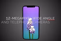 iPhone 11 đẹp thế này thì iFan nào “cưỡng” nổi