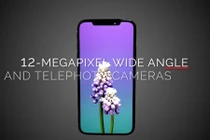 iPhone 11 đẹp thế này thì iFan nào “cưỡng” nổi