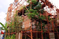 Không một viên gạch, quán cà phê làm từ giàn giáo khiến khách bất ngờ