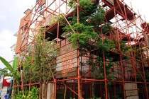 Không một viên gạch, quán cà phê làm từ giàn giáo khiến khách bất ngờ