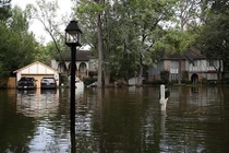 Đột tử vì nhiễm vi khuẩn ăn thịt người sống trong nước lũ