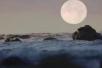 NASA phóng tàu Dragon phiên bản đầu tiên