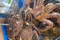 Hết thời siêu rẻ, cua Hoàng đế tăng giá dựng ngược