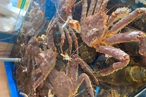 Hết thời siêu rẻ, cua Hoàng đế tăng giá dựng ngược