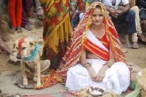 Lạ kỳ những vụ người kết hôn với… động vật