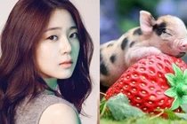 Top con giáp may mắn ngút trời, lộc ùa về cửa cuối năm 2019