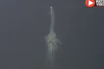 Video: Thả camera sâu 1.300m, phát hiện sinh vật kỳ dị chưa từng thấy