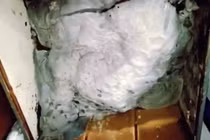 Giết người tình rồi giấu xác vào tủ quần áo chứa đầy bê tông