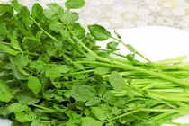 Công dụng chữa bệnh tuyệt vời của rau cải xoong bạn biết chưa