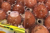 Rùng mình giòi bò lúc nhúc trong khay trứng ở siêu thị