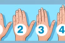 Nhìn vào hình dáng bàn tay biết ngay sau này làm quan hay làm lính?