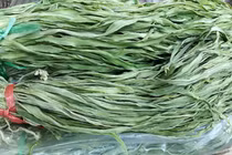 Bó rau khô như nắm rơm mà giá tận 500.000 đồng/kg