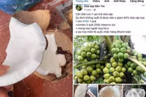 Chiêu lừa giải cứu nông sản giá rẻ của dân buôn hàng rởm