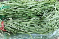 Bó rau khô như nắm rơm mà giá tận 500.000 đồng/kg