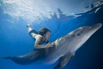 Video: Sẽ thế nào nếu con người sống dưới đáy biển?