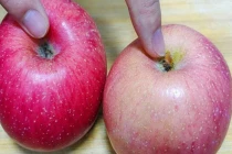 Nhìn quả táo 3 giây biết ngay quả nào giòn ngon, mọng nước nhất