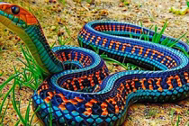 Gặp được điều này bạn sắp trúng số phát tài