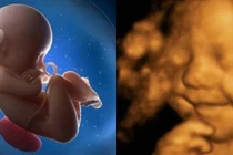 Dấu hiệu cho thấy con thông minh bẩm sinh ngay từ trong bụng mẹ