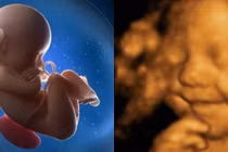 Dấu hiệu cho thấy con thông minh bẩm sinh ngay từ trong bụng mẹ