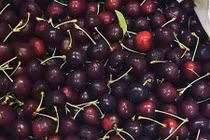 Nghi ngại nguồn gốc quả cherry giá rẻ “giật mình”