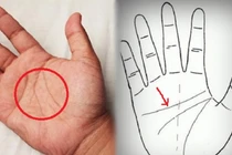 Soi tướng tay của người phụ nữ mang mệnh phượng hoàng