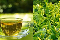 Trà xanh rất tốt nhưng đại kỵ với 10 nhóm người này