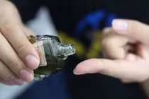 Bôi một giọt dầu gió vào lòng bàn chân: Chữa mất ngủ