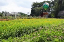 Chồng bênh bồ đánh vợ, tôi làm việc này khiến anh ta phải hối hận