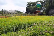 Chồng bênh bồ đánh vợ, tôi làm việc này khiến anh ta phải hối hận