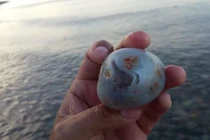 Cầm viên đá nhỏ về nhà chàng trai được chúc mừng “nhặt được kho báu“