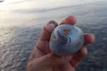 Cầm viên đá nhỏ về nhà chàng trai được chúc mừng “nhặt được kho báu“