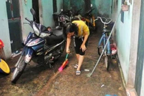 Công nhân phát hoảng vì... muỗi!