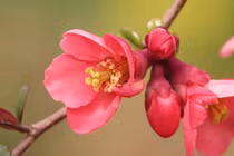 Người có giờ sinh này đều thông minh, năm 2022 tình tiền viên mãn